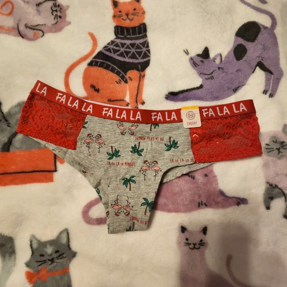 3 Pairs of Cheeky Holiday Panties - Picture 6 of 9